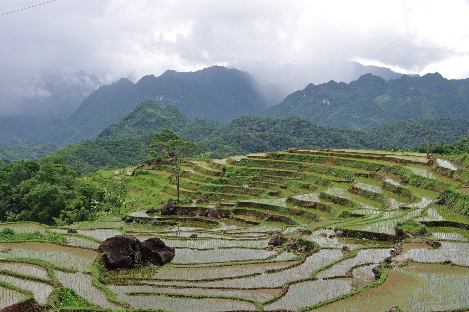Rizieres en terrassee autour du village Don, Pu Luong 