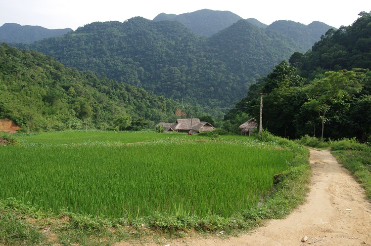 Village Hieu Pu Luong 4