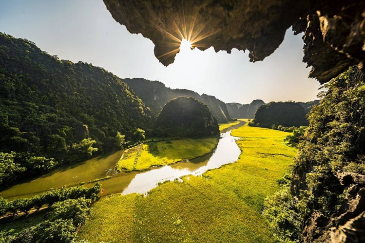 Ricefield Tam Coc