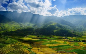 Vietnam Hotels and Travel Guide