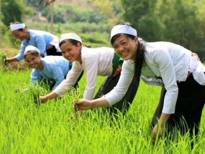 ethnie Muong a Hoa Binh