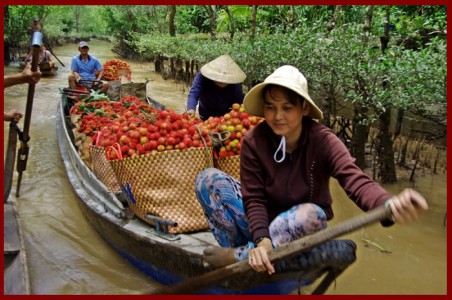 Voyage Vietnam, Mekong du Vietnam