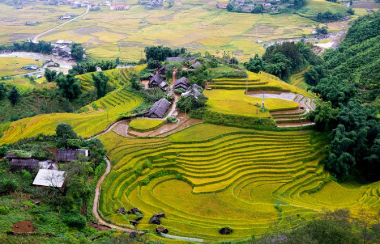 Las terrazas de arroz a Sapa