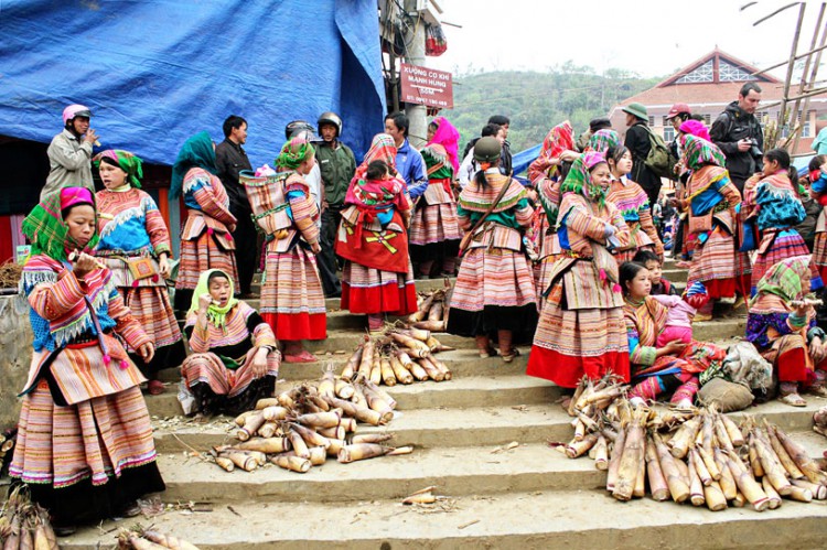 Mercado BacHa