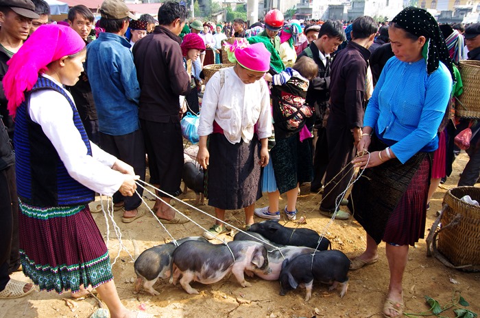 Voyage au Vietnam, marché Dong Van 4