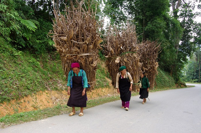 Voyage au Vietnam, sur la route du Tonkin