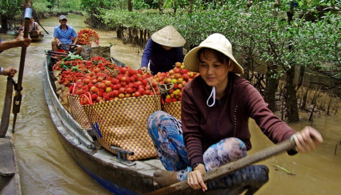 Voyage Vietnam, delta du Mekong