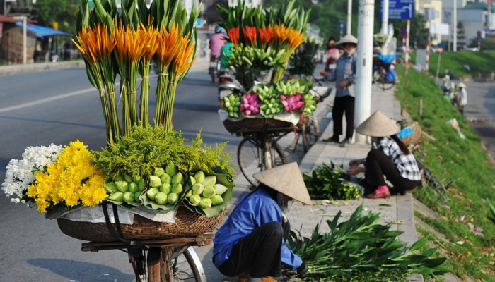 Rue de Ha Noi