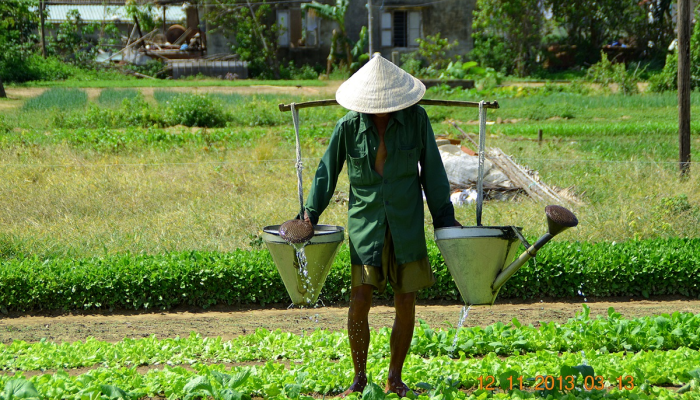 Travail a HoiAn