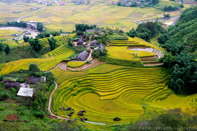 Voyage au Vietnam