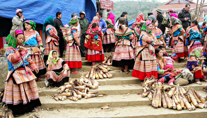 Cho Bac Ha 4