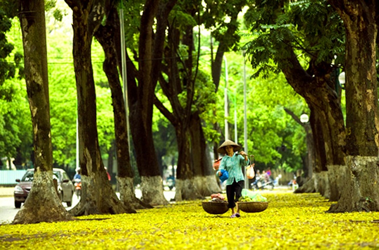 dia diem tham quan du lich ha noi an tuong