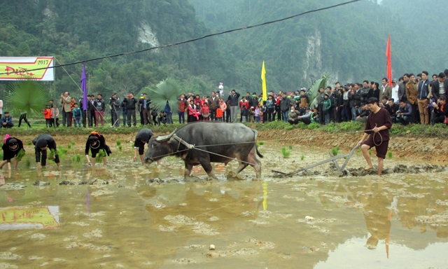 Fete traditionelle de Tay