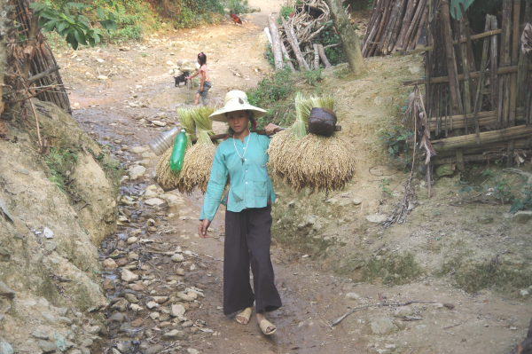 La vie des Lolo noir a Bao Lac