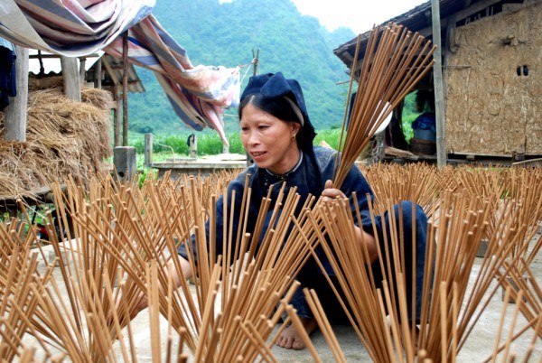 Village Nung a Cao Bang