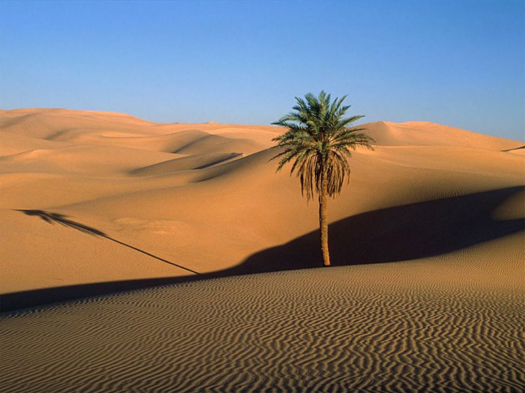 dunas de arenas doradas a MuiNe