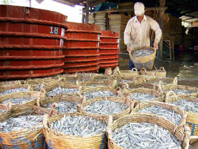 pescada para la salsa salmuera