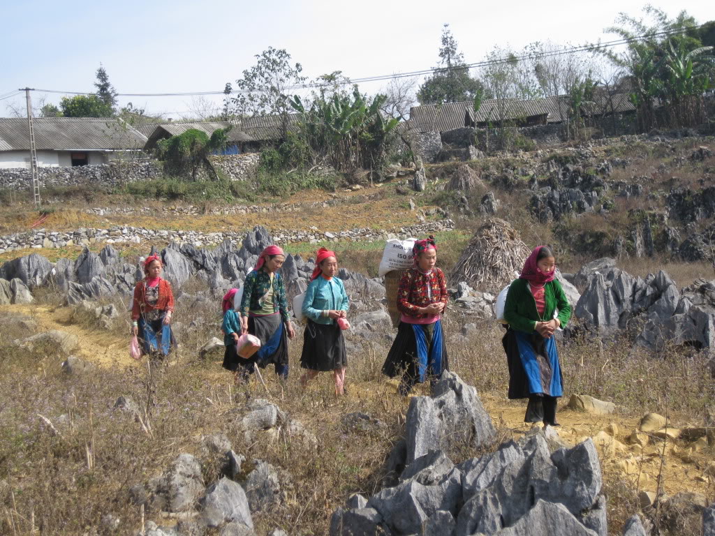 Voyage au Vietnam, la vie sur les rochers