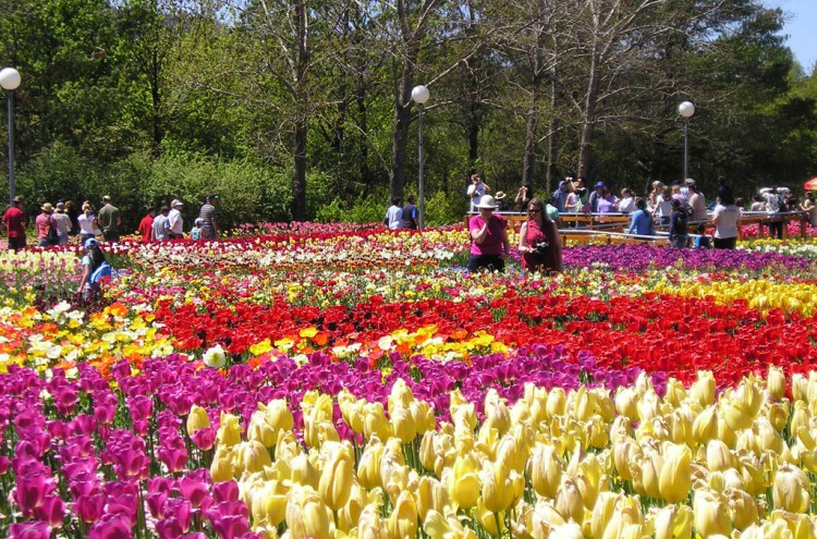 La ville Dalat, pays des fleurs