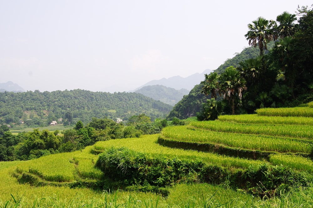 Voyage au Vietnam, village Tha