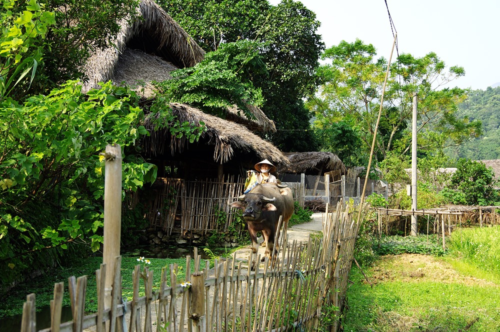 Voyage au Vietnam, village Tha