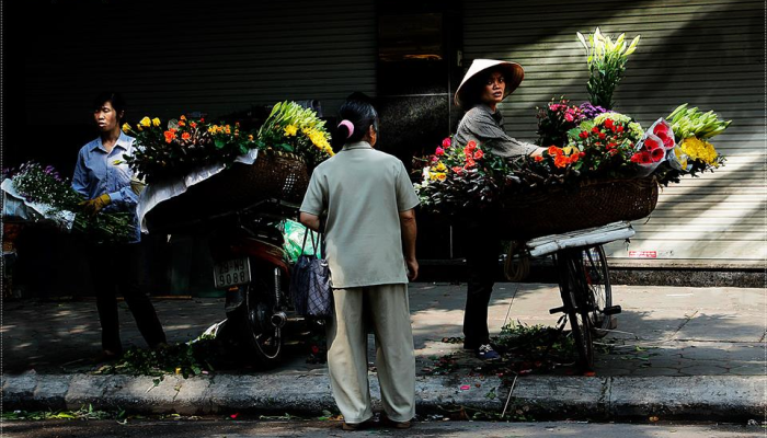 vente des fleurs