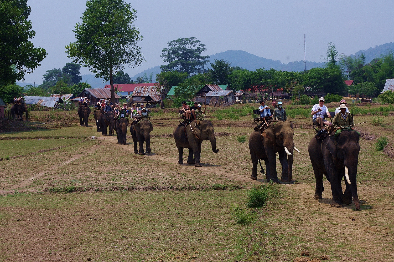 balade à dos d'éléphant