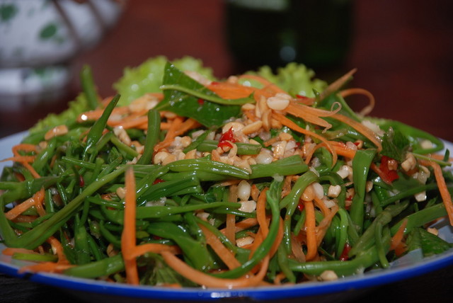 salade de liseron d'eau 