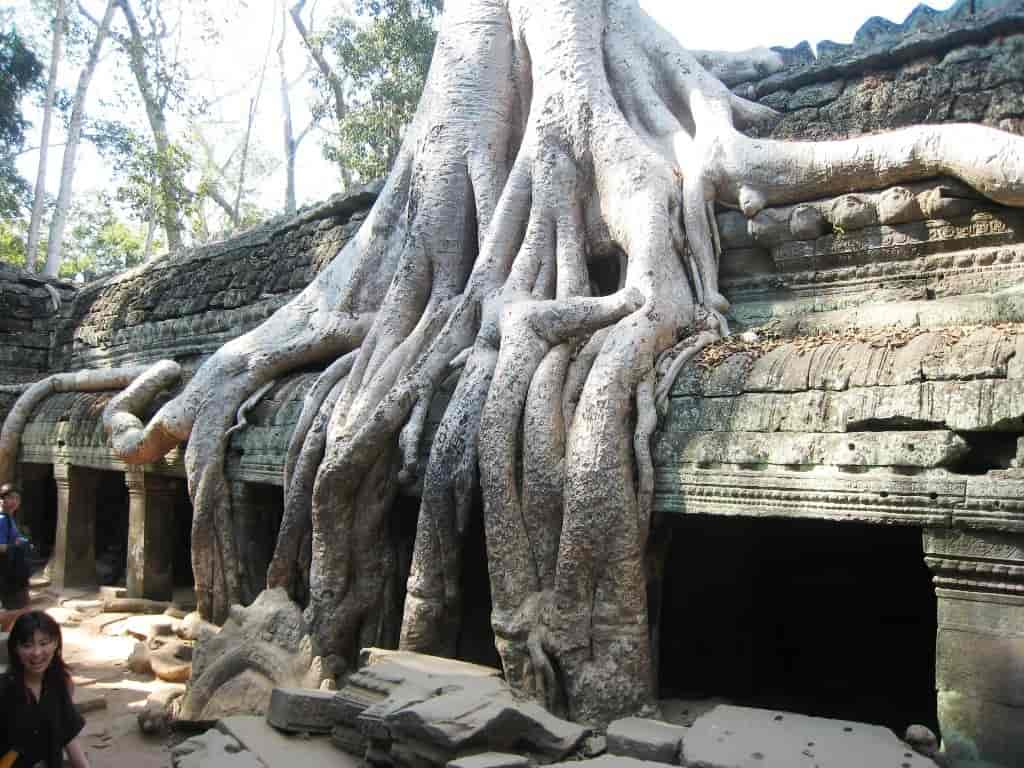 Siem Reap Temple Ta Phrom