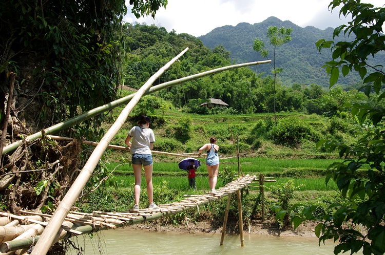 chemin de trek