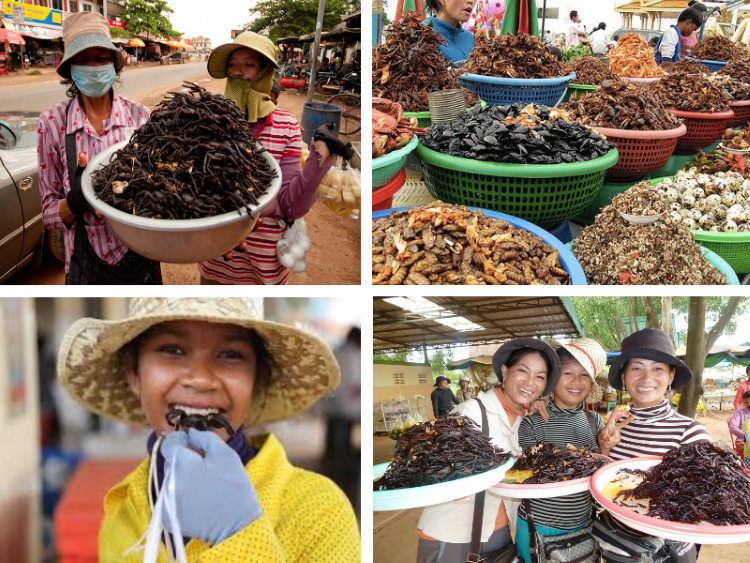 Degustation des insects au Cambodge