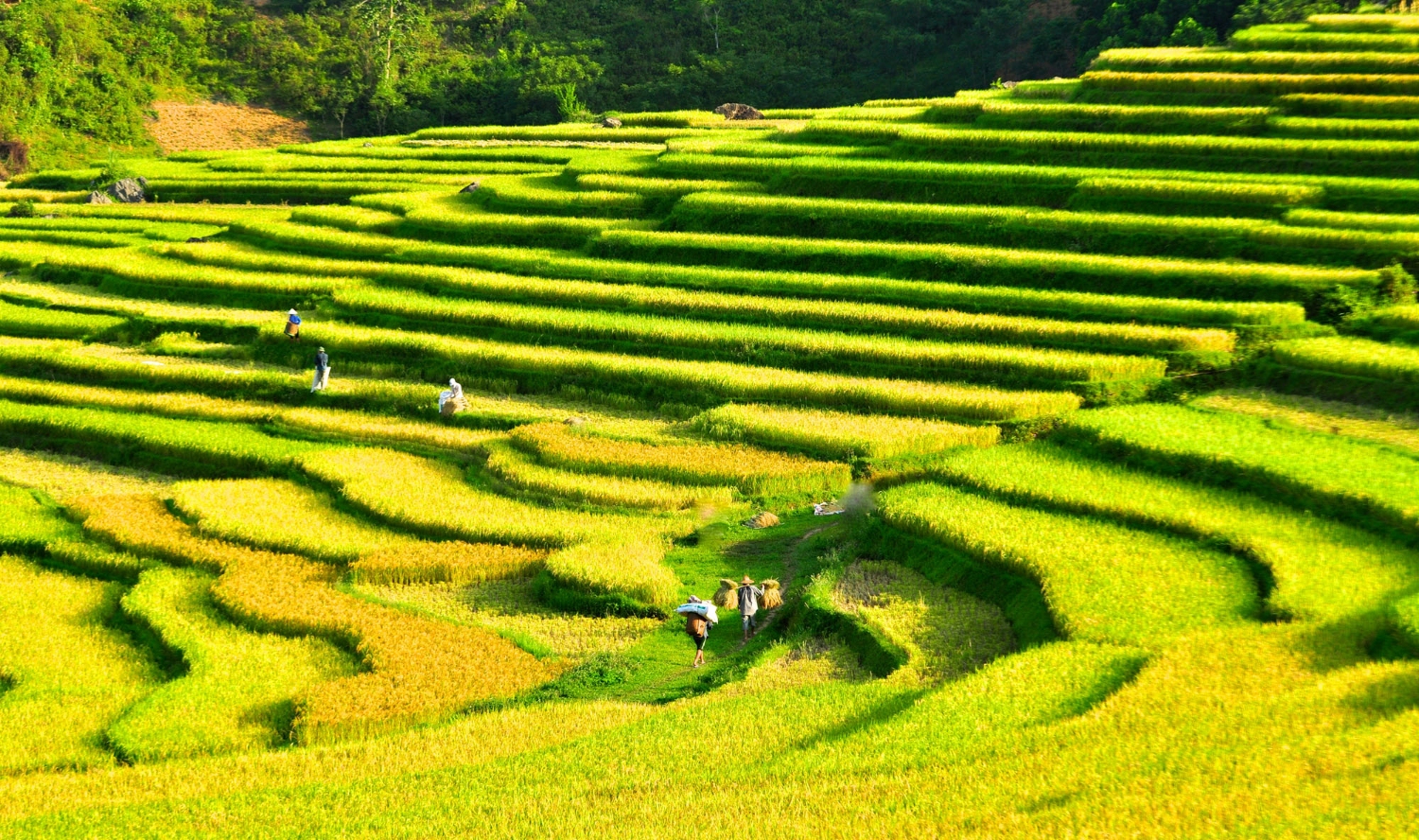 Paysages à Pu Luong (2)