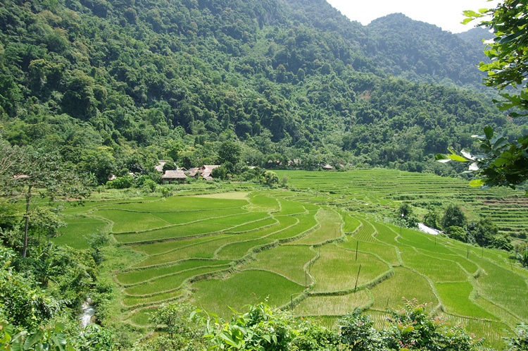 vue de haut