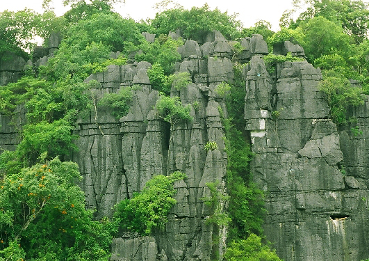 Formes karstiques de Phong Nha Ke Bang