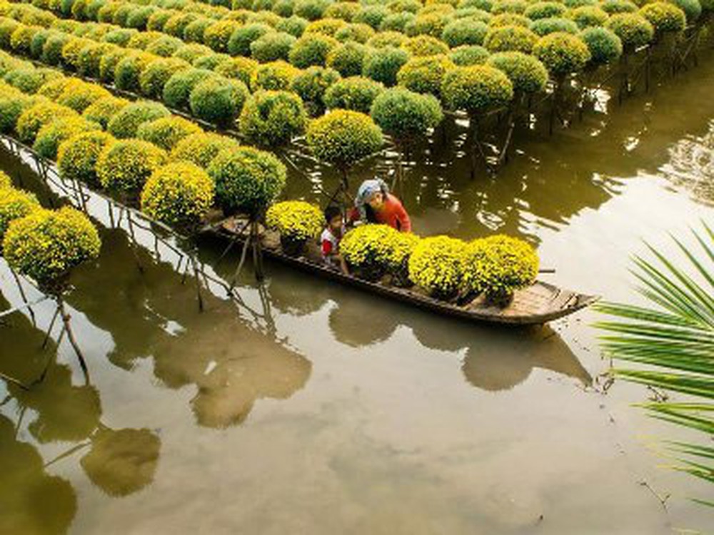 pueblo de cultivo de las flores