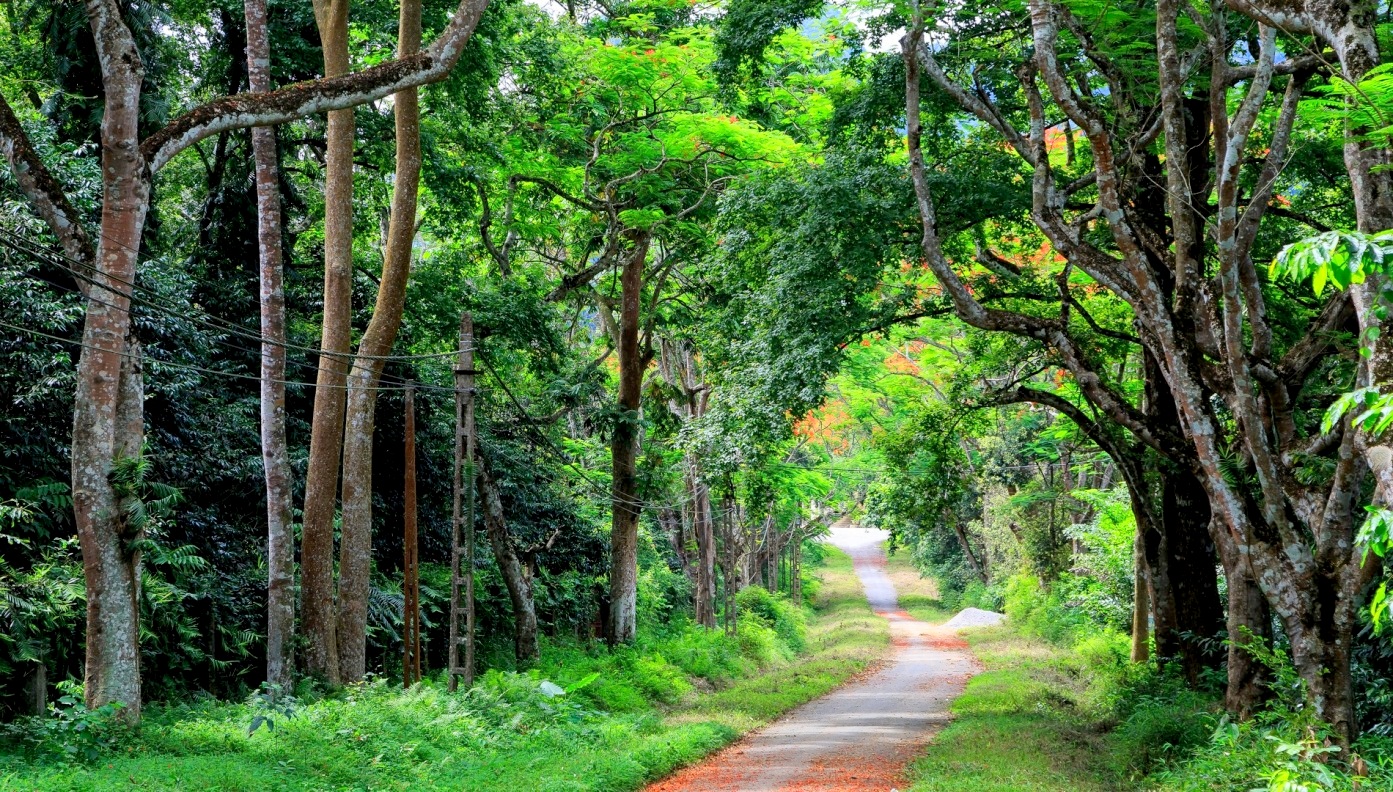 parque nacional Nam Cat Tien