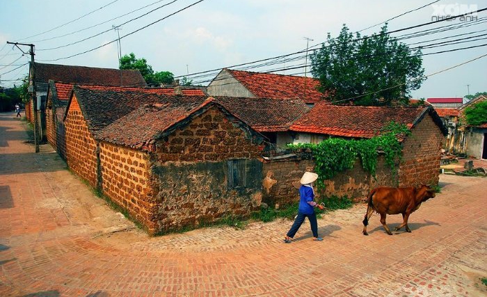 daily life of Duong Lam ancient village