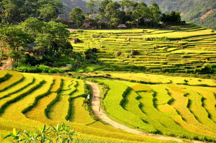 Natural reserve Pu Luong