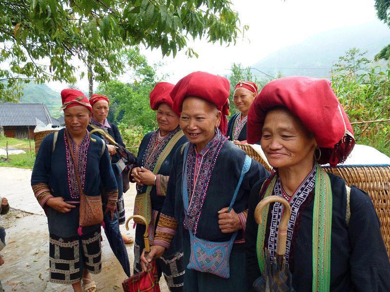 RedDao in Sapa 2