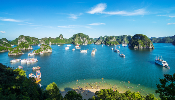 Halong3