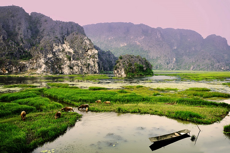 Van Long Natural Reserve